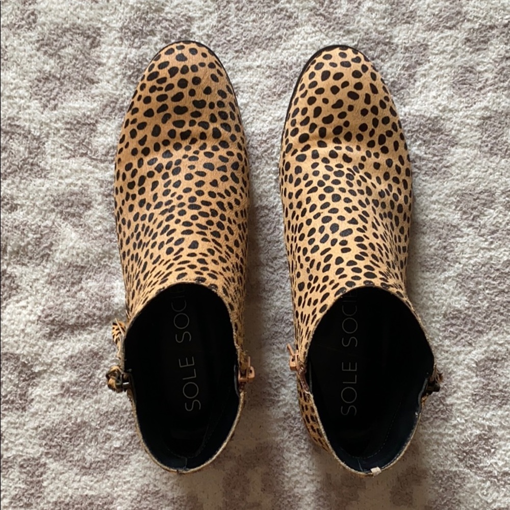 Sole Society Abbott Leopard Booties - Picture 2 of 11